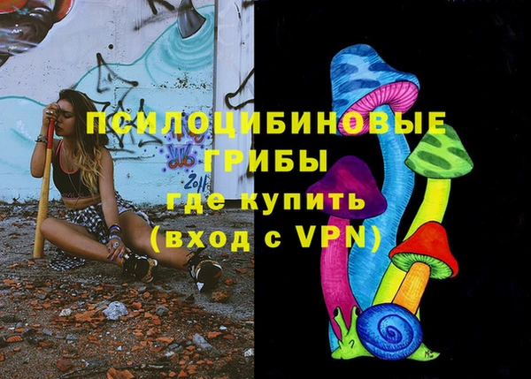 молекула духа Алексин