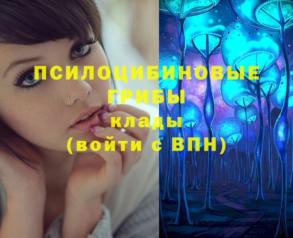 молекула духа Алексин
