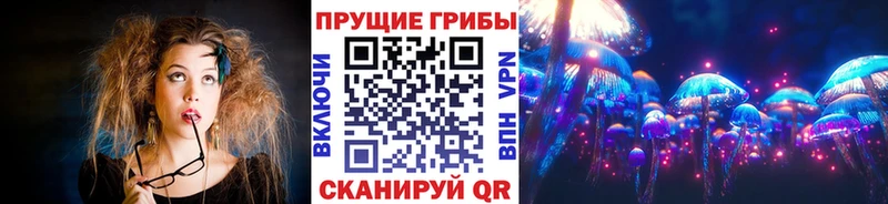 Галлюциногенные грибы Psilocybine cubensis  купить наркоту  Асино 